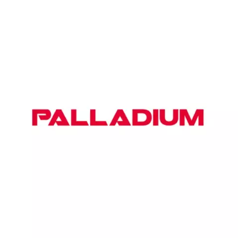 Brand logo for distributor Palladium