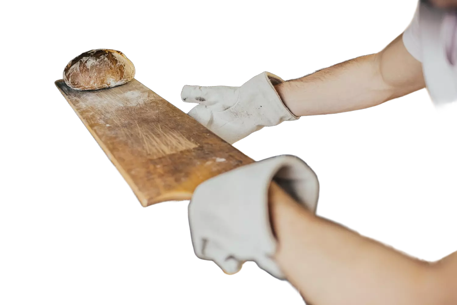 PRO FIT 270517, Canvas Mitten, 28 cm, image 4