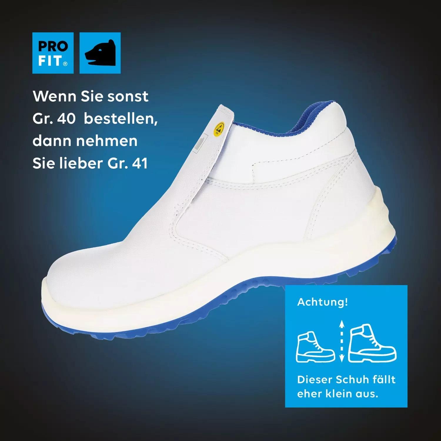 Fitzner Arbeitsschutz 121, ESD Sicherheitsschuhe S2, image 2