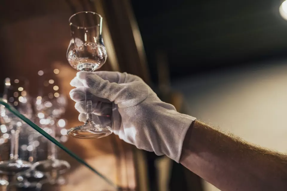 PRO FIT 64015, Cotton Glove, Jersey, image 4, gallery thumbnail