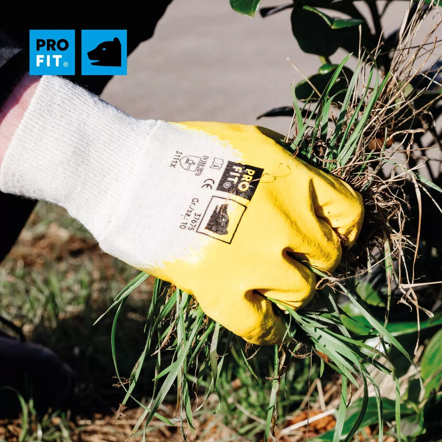 PRO FIT 37675, Mega lite Nitrile Glove, image 6