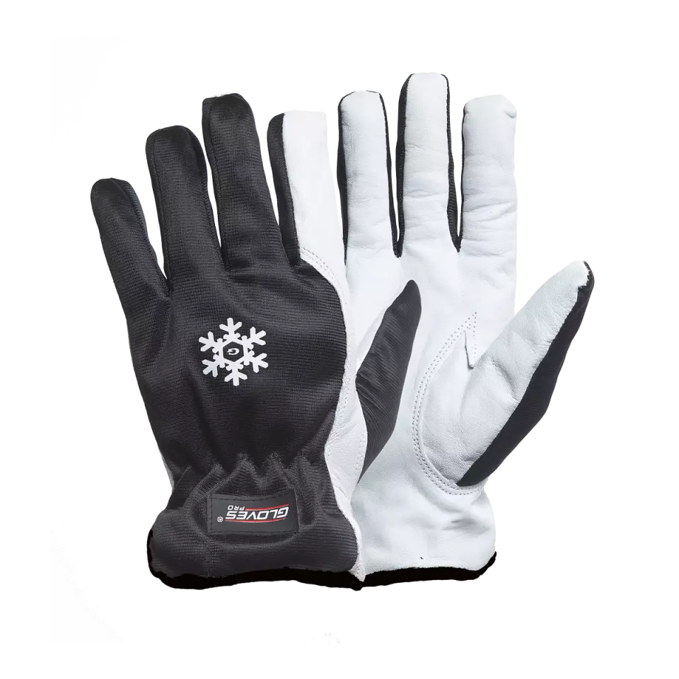 Gloves Pro 5650, Dex 11 Winterhandschuhe, image 1, gallery thumbnail