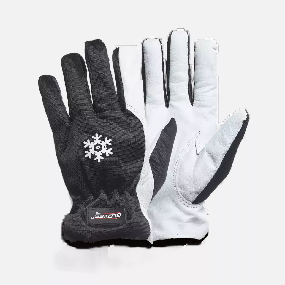 Gloves Pro 5650, Dex 11 Winterhandschuhe, image 1, gallery thumbnail