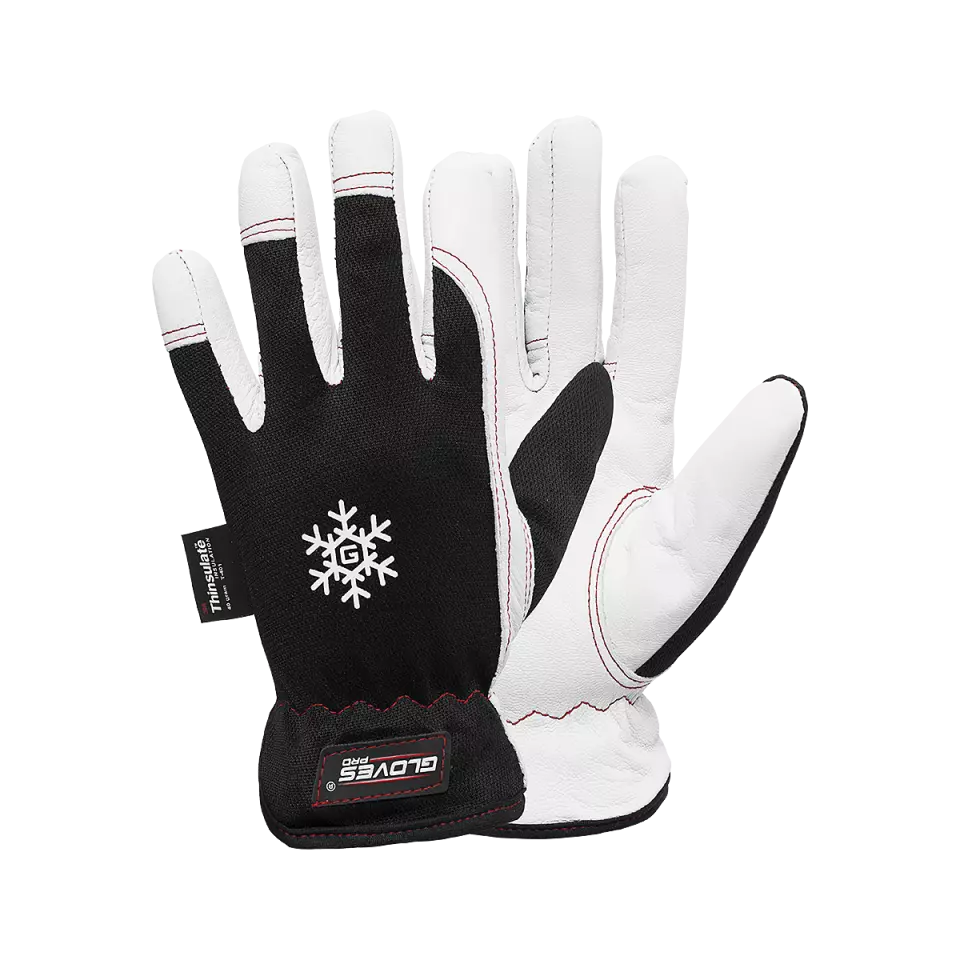 Gloves Pro 5654, Dex 10 Winter Gloves, image 1, gallery thumbnail