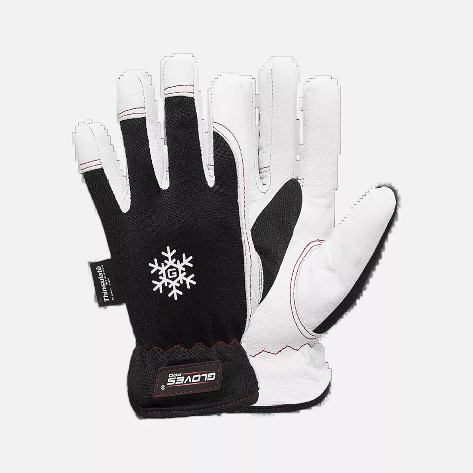 Gloves Pro 5654, Dex 10 Winterhandschuhe, image 1, gallery thumbnail