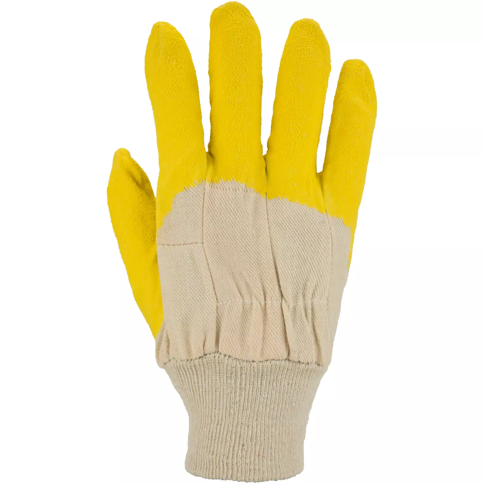 Asatex LS, Latex Glove 10.5, image 2