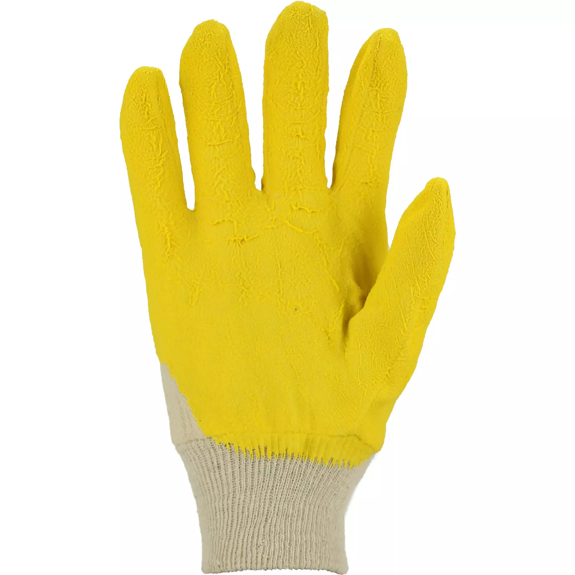 Asatex LS, Latex Glove 10.5, image 1