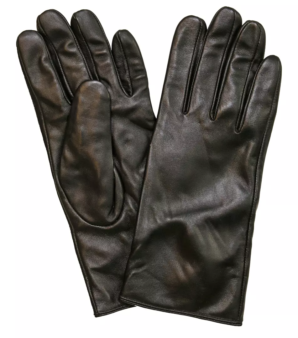Protect NS240, Ladies' Lambskin Nappa Gloves with Knit Lining Assortment, image 1