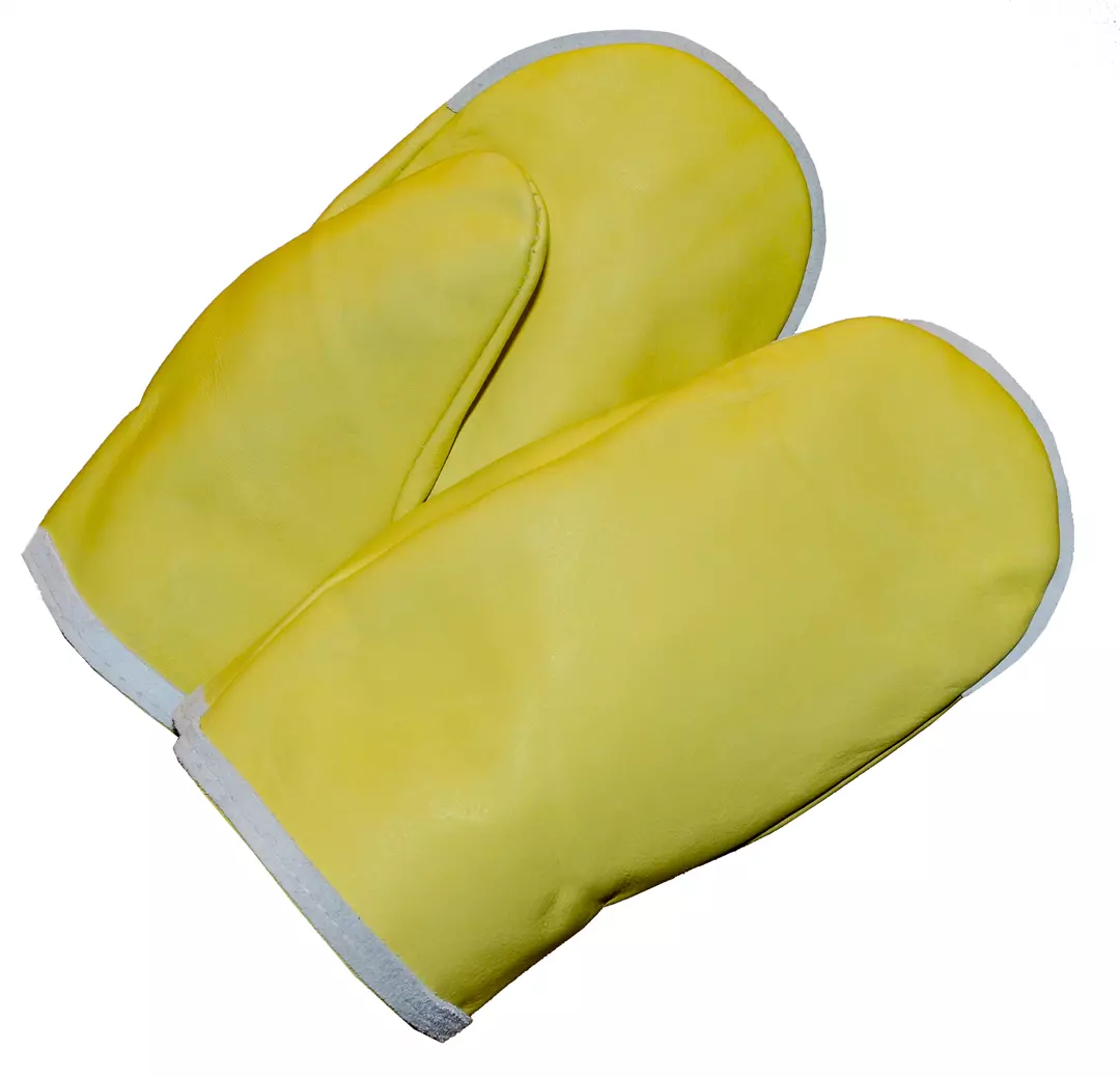 PROTECT TK204KOTIMAINEN, Leather Work Mitt, image 1