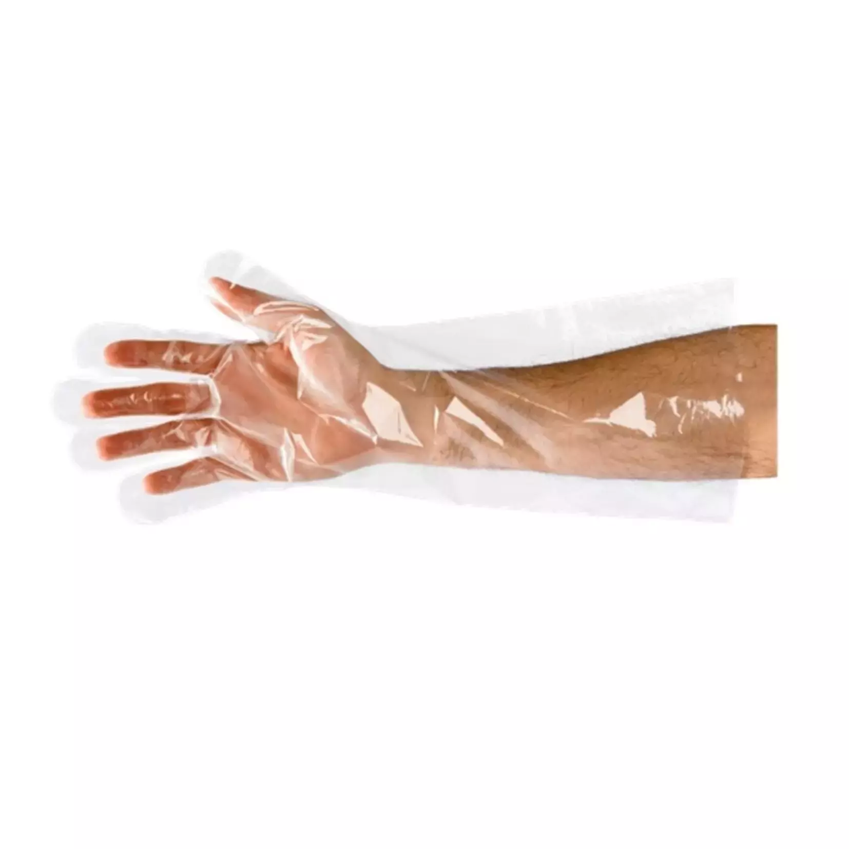 Hand1A 11216A, Long PE Glove 50cm, image 1