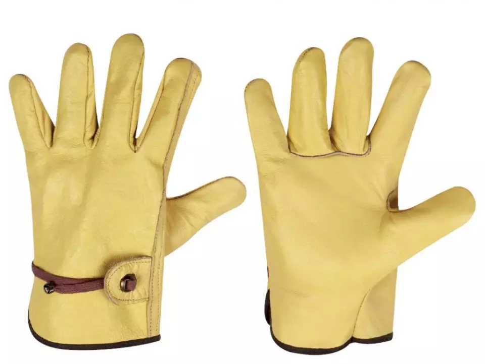 Stronghand 294, OFFIZIER Rindsnappaleder-Handschuhe, image 1, gallery thumbnail