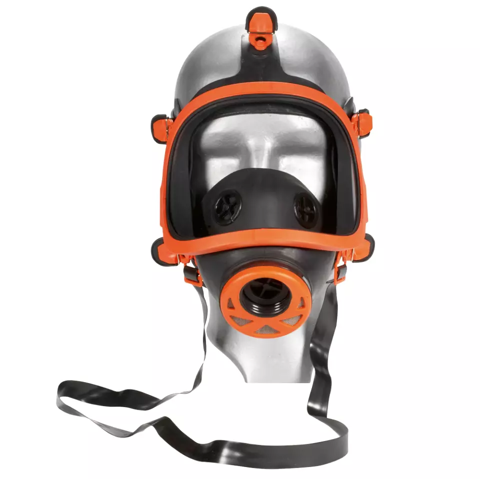 Feldtmann 4239, Panorama Full Mask without Filter, image 1, gallery thumbnail