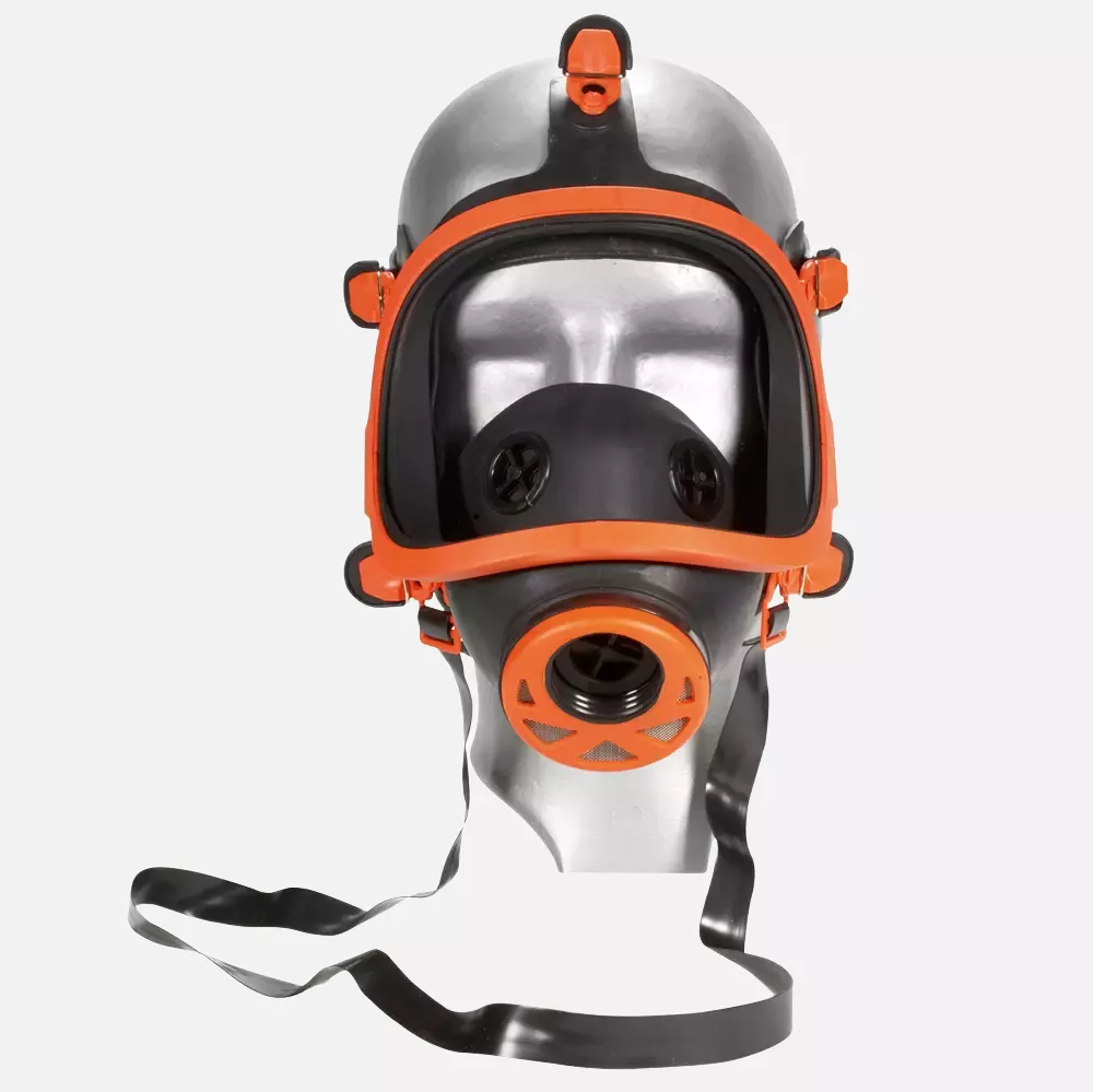 Feldtmann 4239, Panorama Full Mask without Filter, image 1