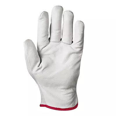 Sir Safety System MA1116, Cipro Glove White