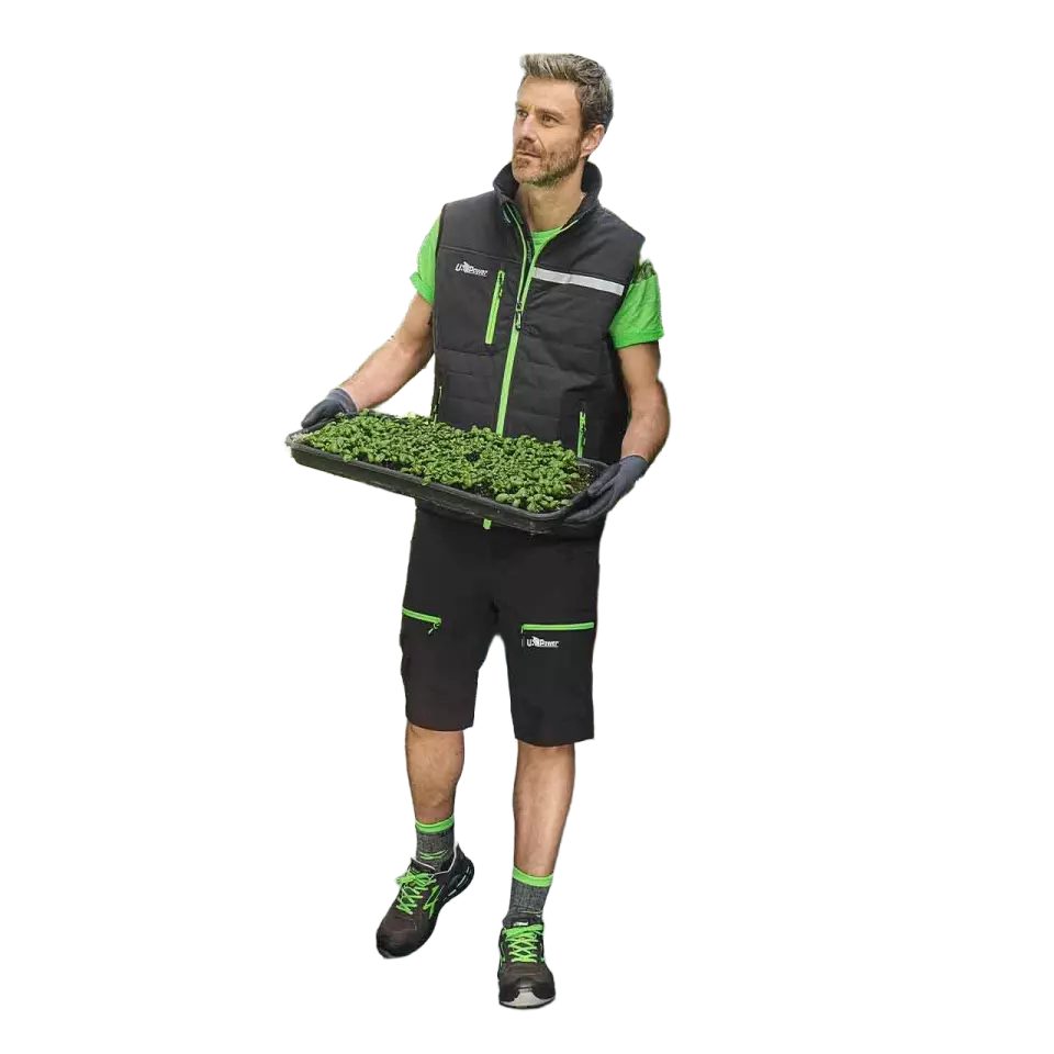 U-Power RL20036, Point Niedriger Schuh ESD S1P SRC, image 5, gallery thumbnail