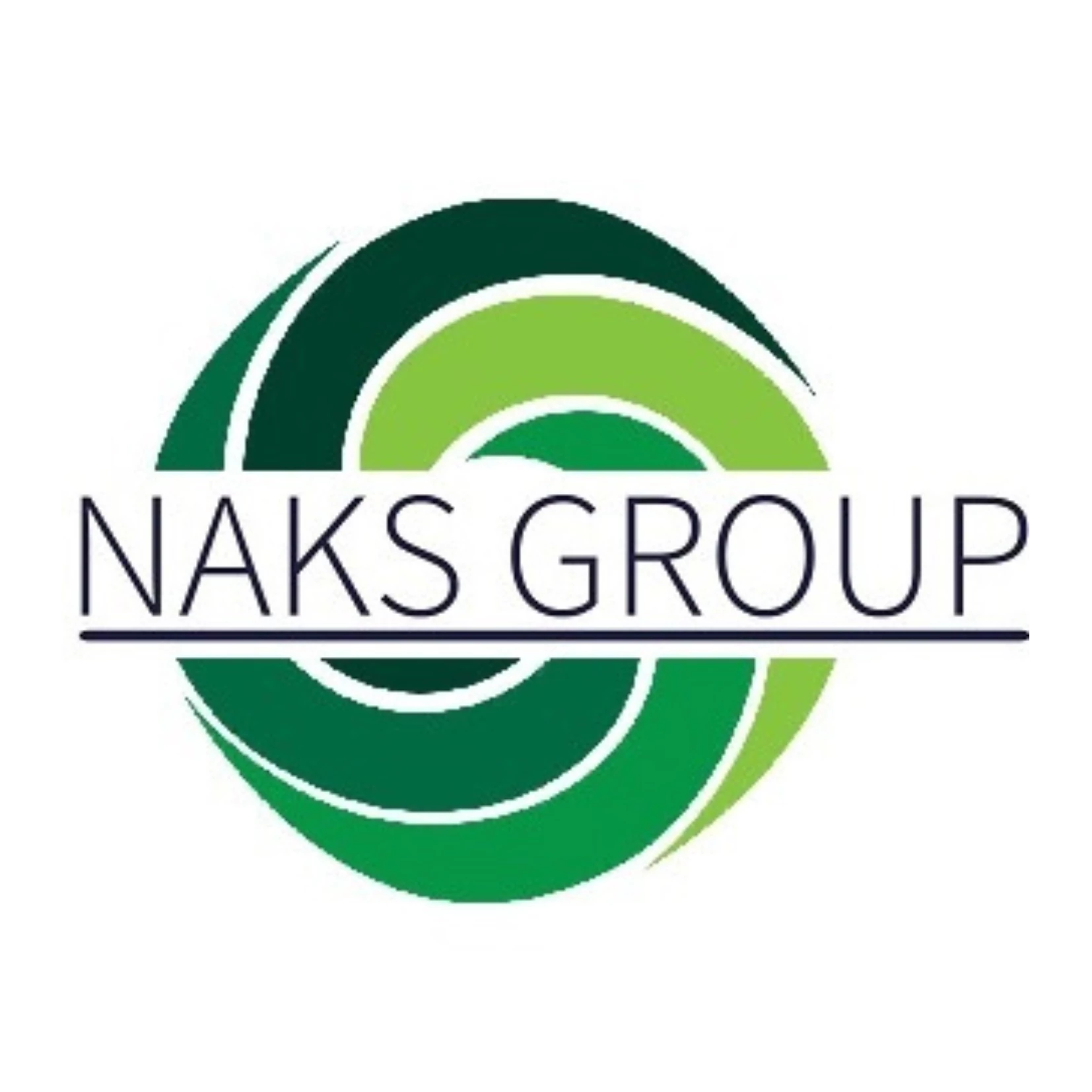 Brand logo for distributor Naks Group