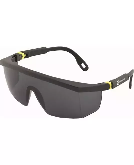 Ardon Safety E4002, V10-100 Schutzbrille, image 1
