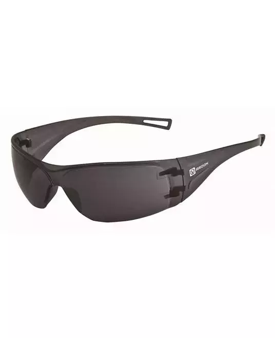Ardon Safety E4045, Ms100 Glasses