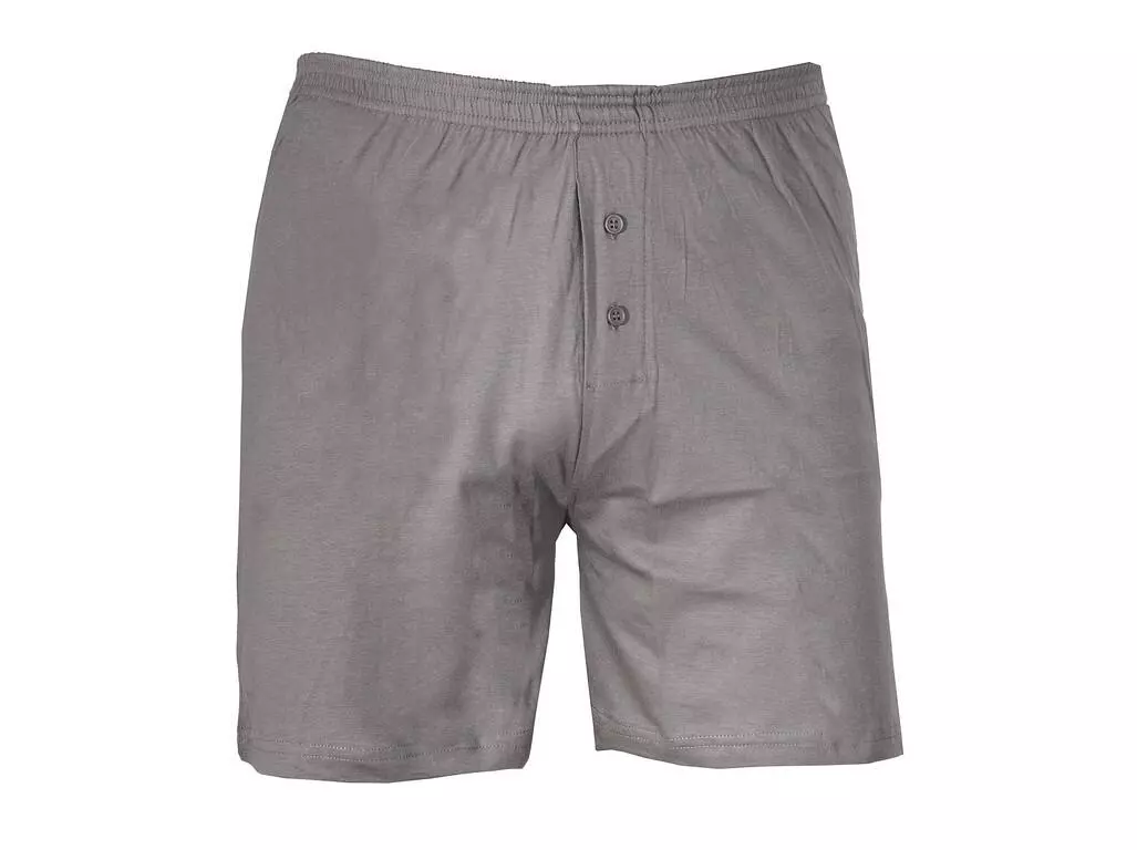 CXS 1810-002-711-00, Boxer Men's Trunks, Zinc, image 1