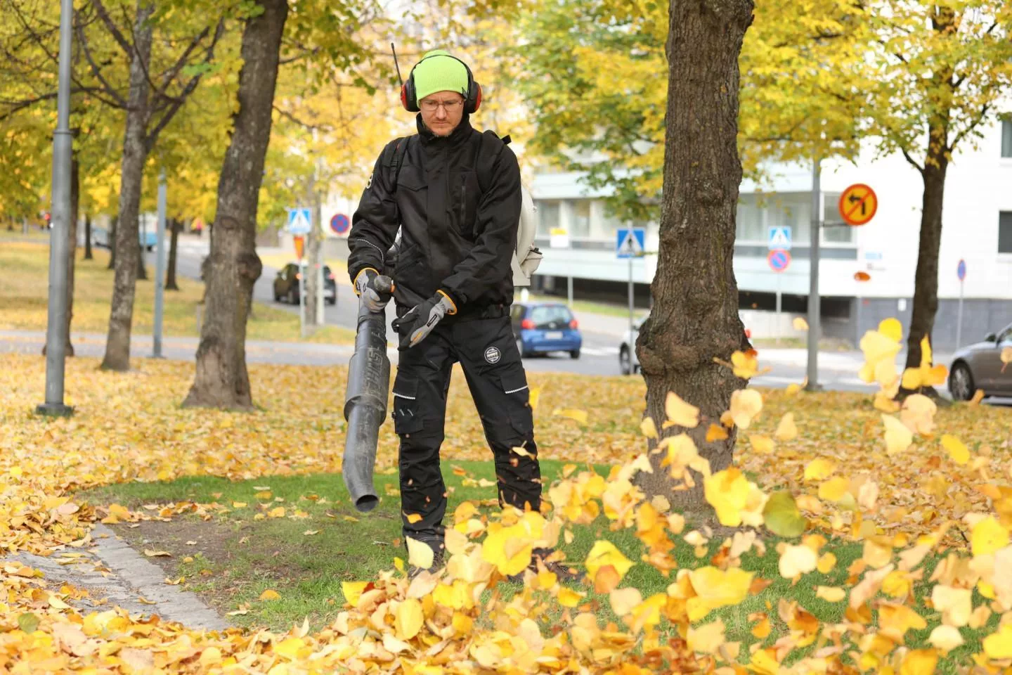 Dimex 60601, Trousers, image 5