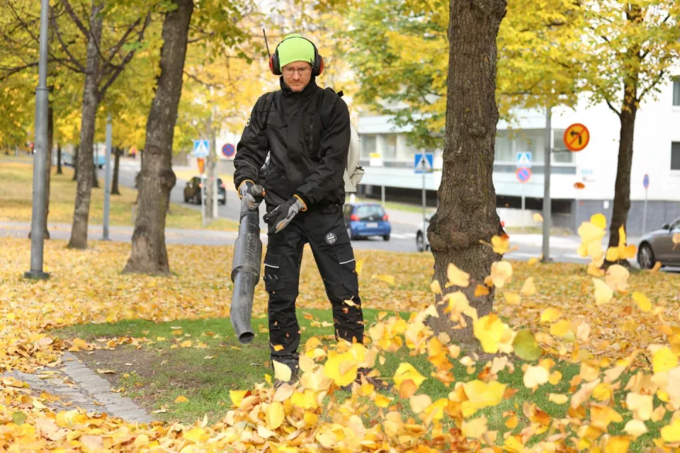 Dimex 60601, Trousers, image 5, gallery thumbnail