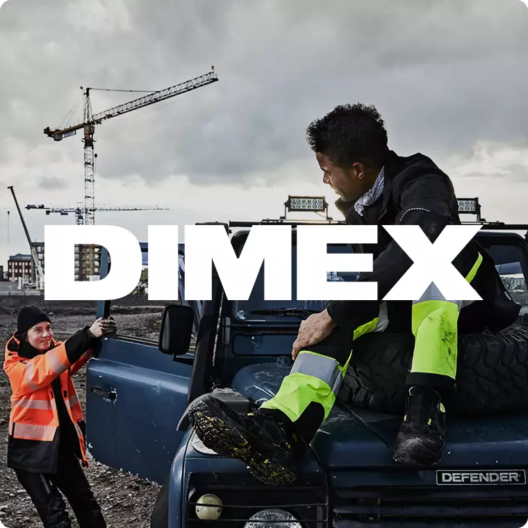 Dimex vibe icon