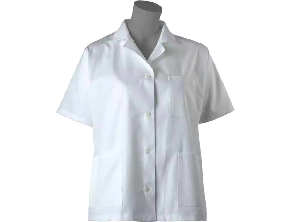 Lacuna 8GASTZBB36, GASTRO women's blouse white, image 1, gallery thumbnail