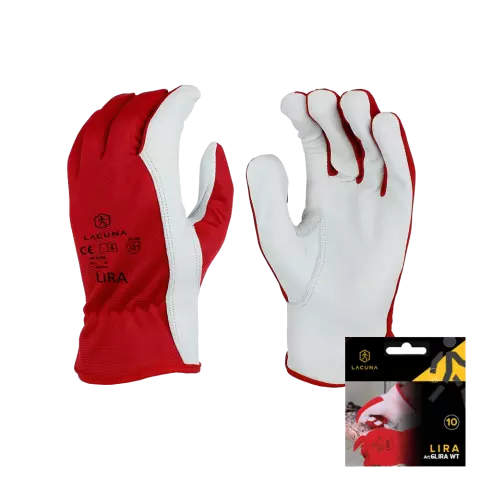 Lacuna LIRA Leather glove