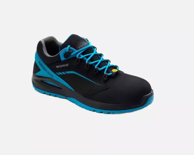 Rossini SSRC405, Streif Royal Low Footwear, image 1