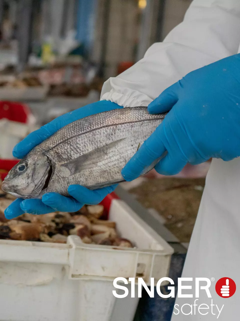 Singer Safety AUU4010, Einweg-Nitrilhandschuhe, Blau, image 3, gallery thumbnail