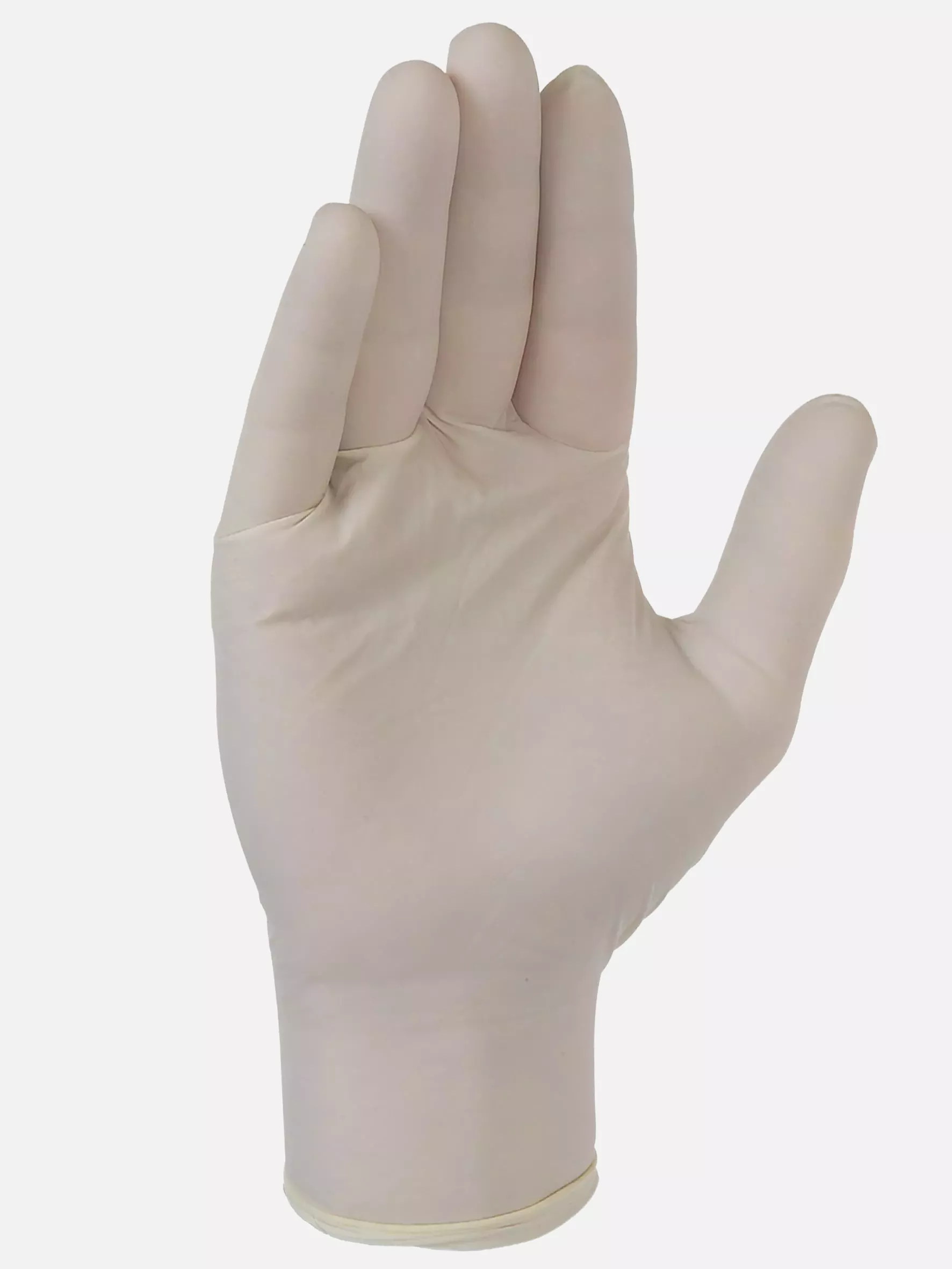 Singer Safety AUULAT, Latex Disposable Gloves, image 3