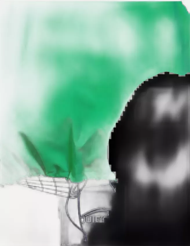 BeMoreGreen 911, Wheelchair Poncho, Green, image 6
