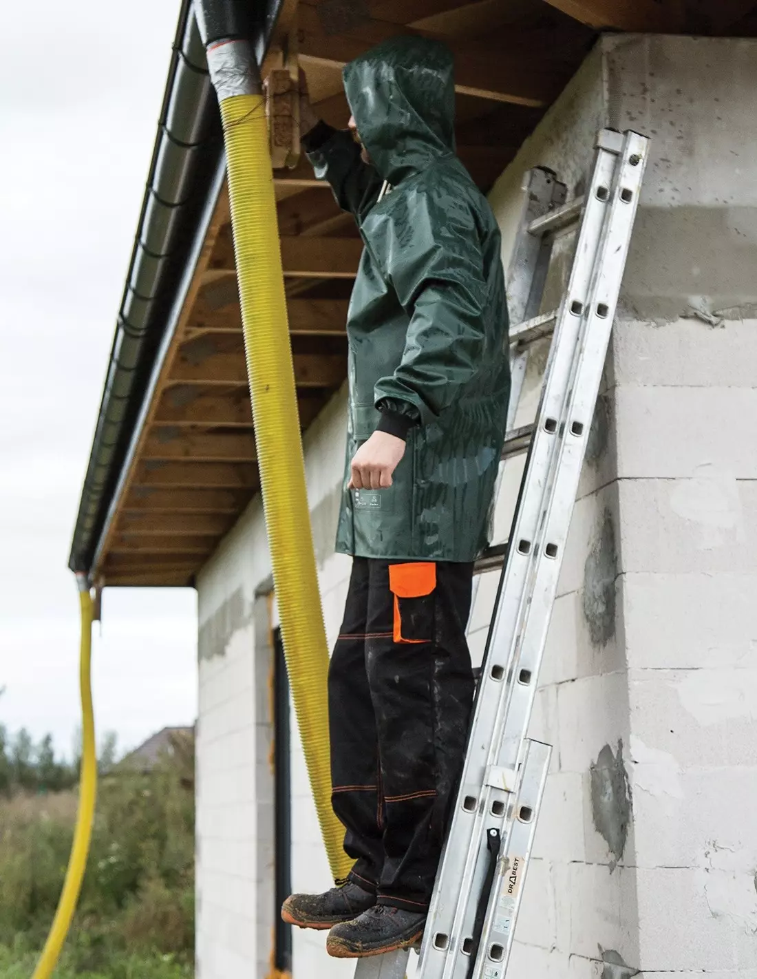 PROS 616, Jacket, Green, image 5