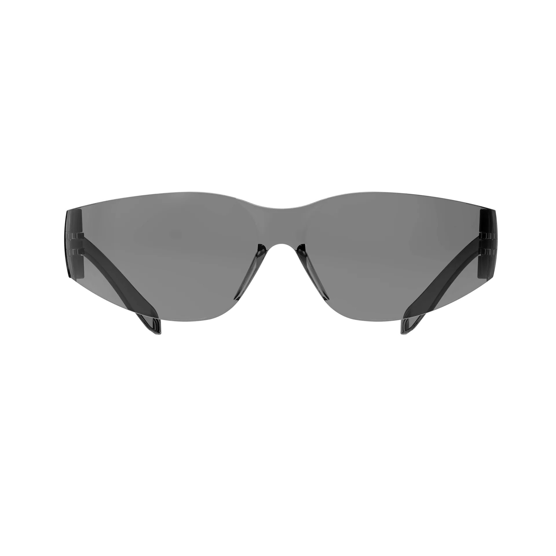 Guardio 1001732033, Salus Slimfit Eco säkerhetsglasögon, grå, image 1
