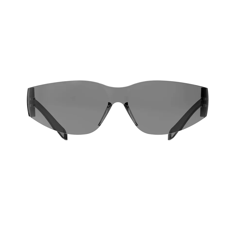 Guardio 1001732033, Salus Slimfit Eco säkerhetsglasögon, grå, image 1, gallery thumbnail