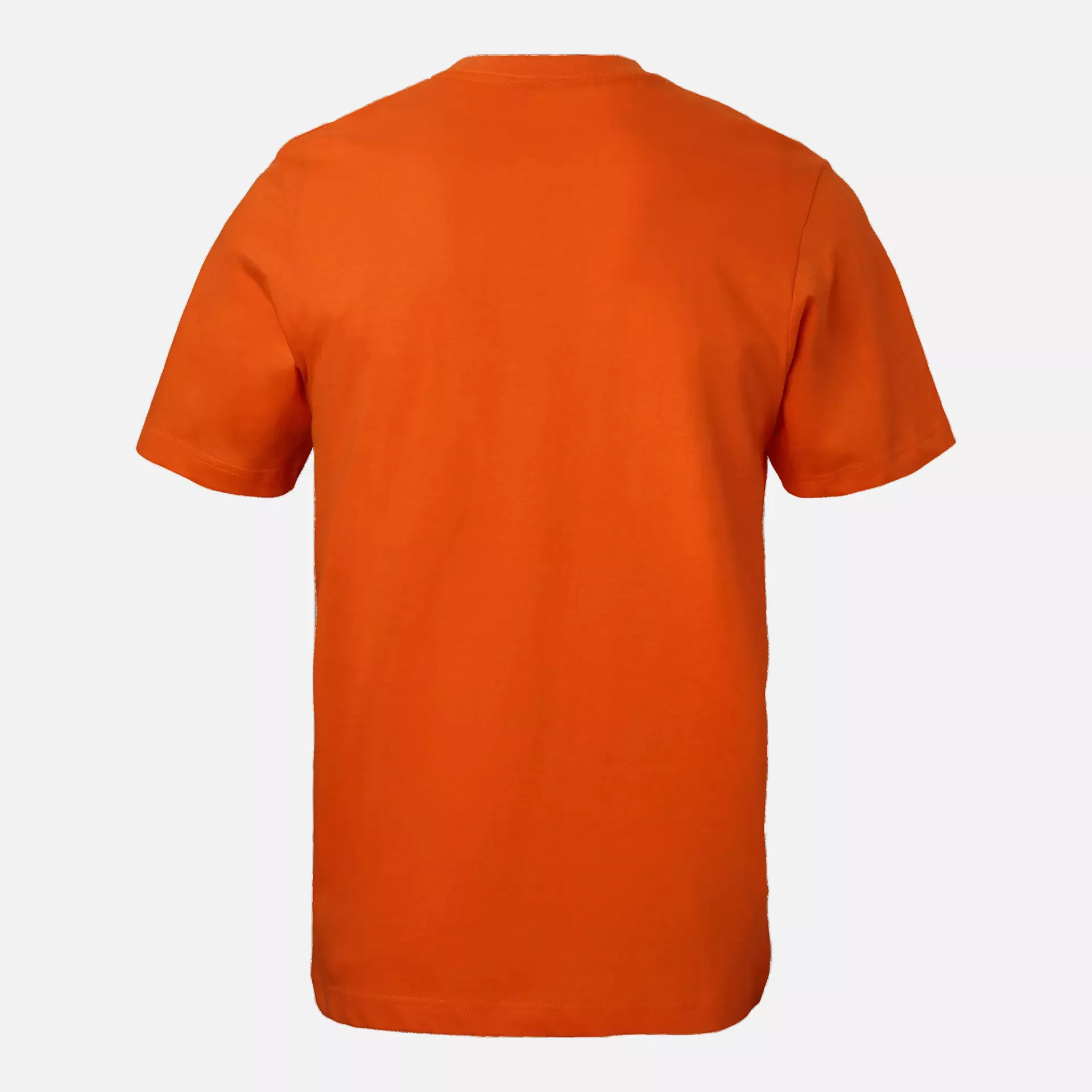 South West 1000189802, Kings T-Shirt Junior, Spicy Orange, image 2