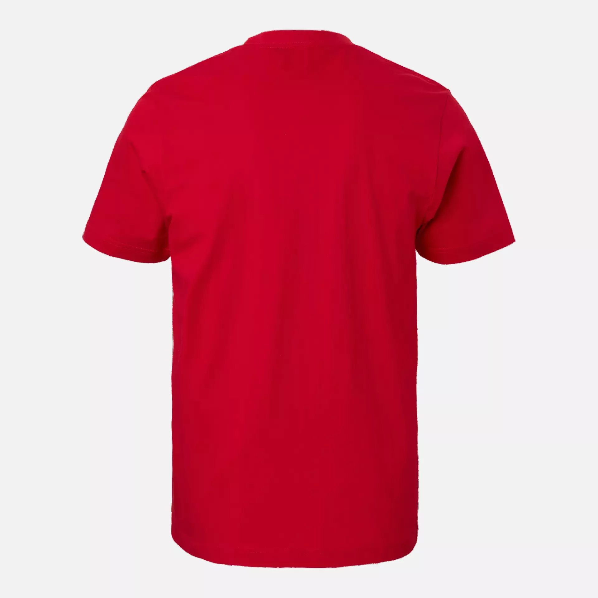 South West 1000189607, Kings T-Shirt Junior, Rot, image 2