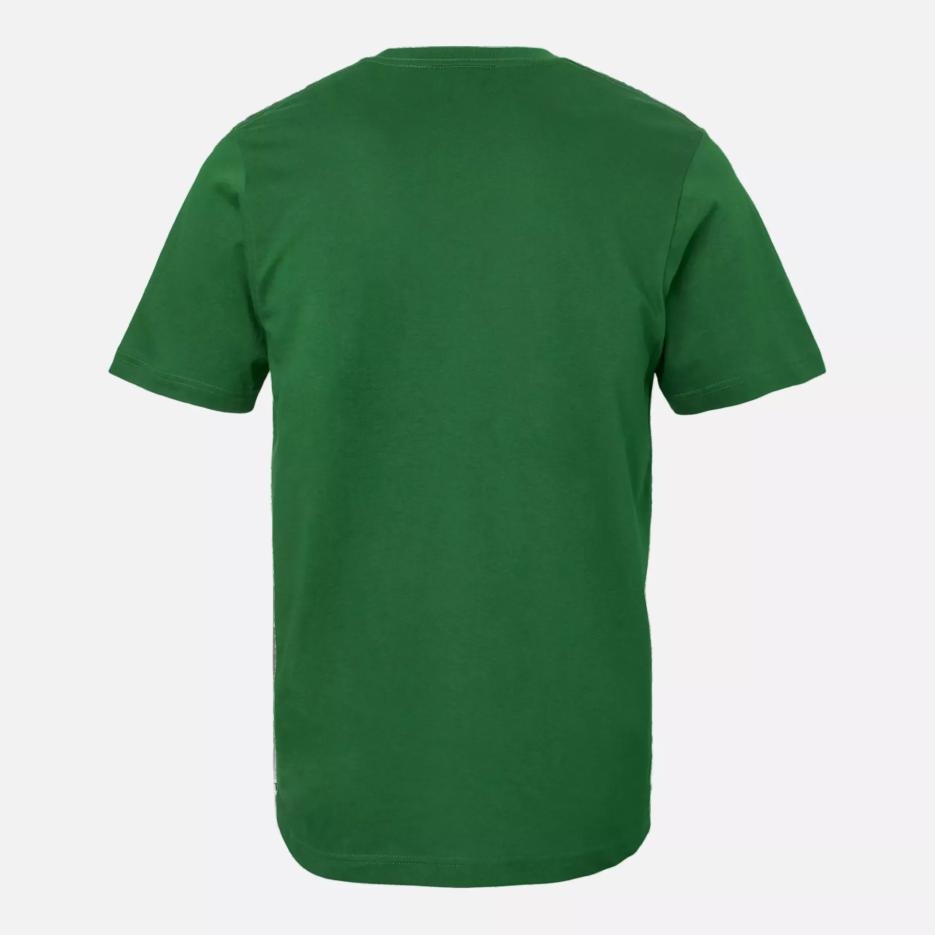 South West 1000189307, Kings Junior T-Shirt, Grün, image 2