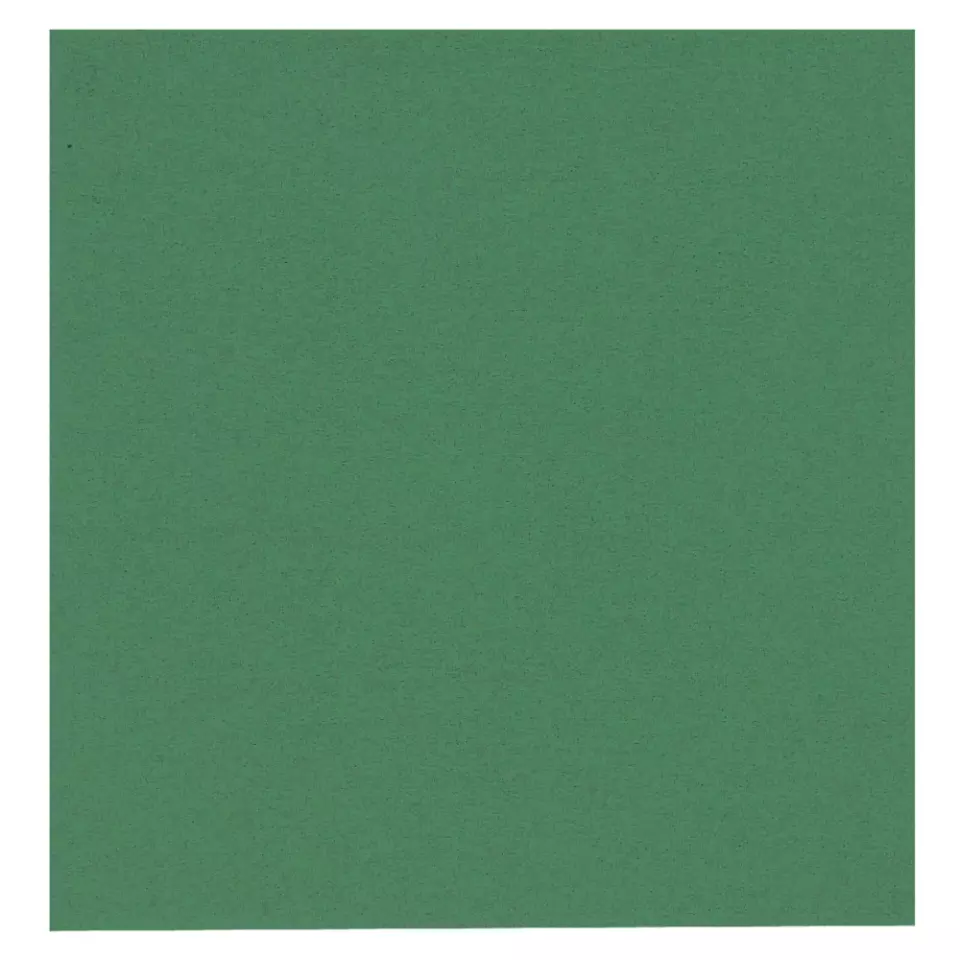 Abena 3272, GASTRO Green Napkin 40x40 2-Ply, image 1, gallery thumbnail