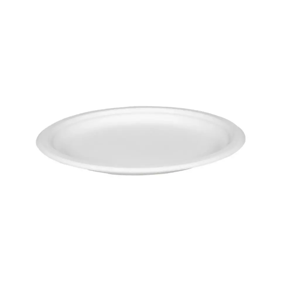 Abena 5189-DUPLICATE, GASTRO-LINE Plate 26cm, image 1, gallery thumbnail