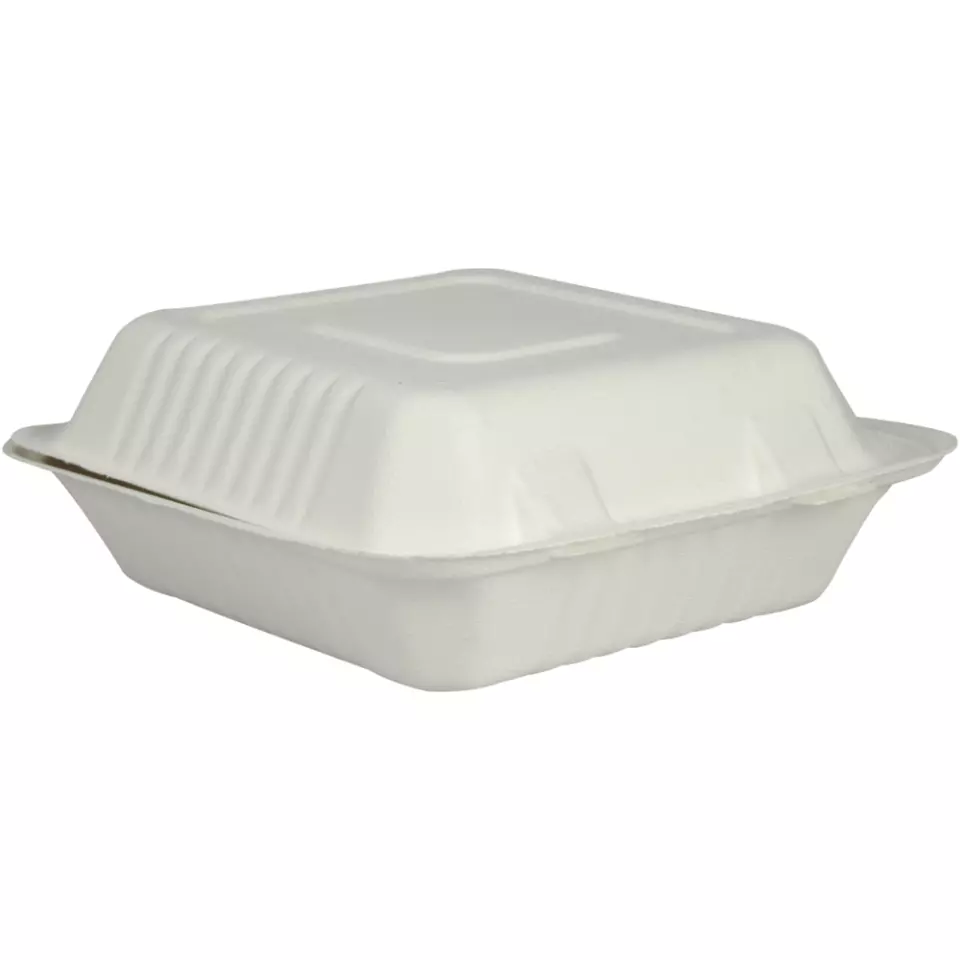 Abena 1010001153, GASTRO Bagassi Single-Compartment Takeaway Container 223x201x77mm White, image 1, gallery thumbnail