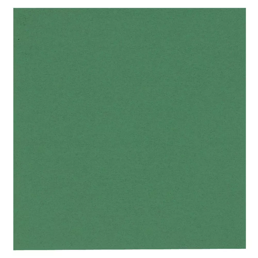 Abena 3272, GASTRO Green Napkin 40x40 2-Ply, image 1