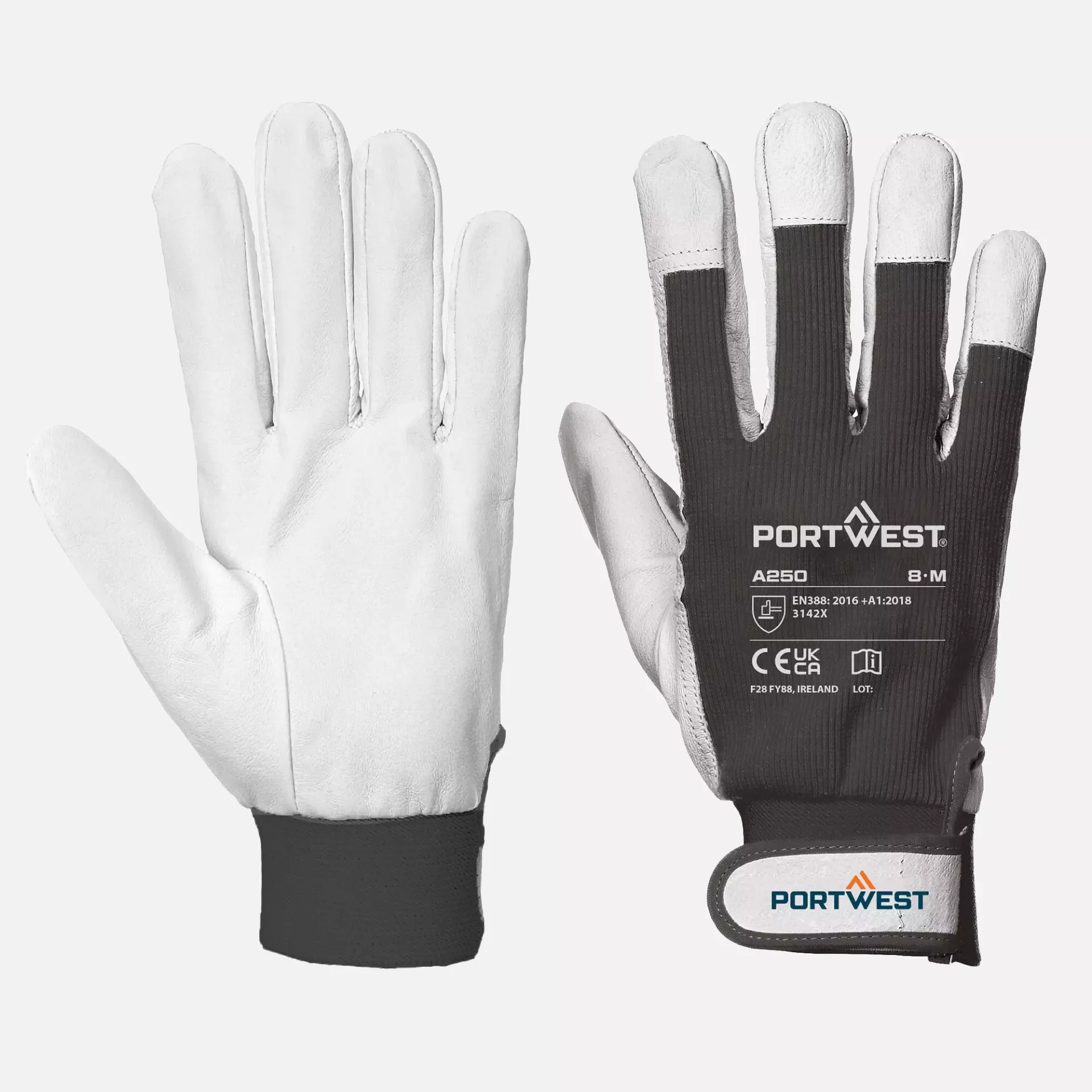 Portwest A250BKR, Tergsus Glove, Size XXL, Black, image 2