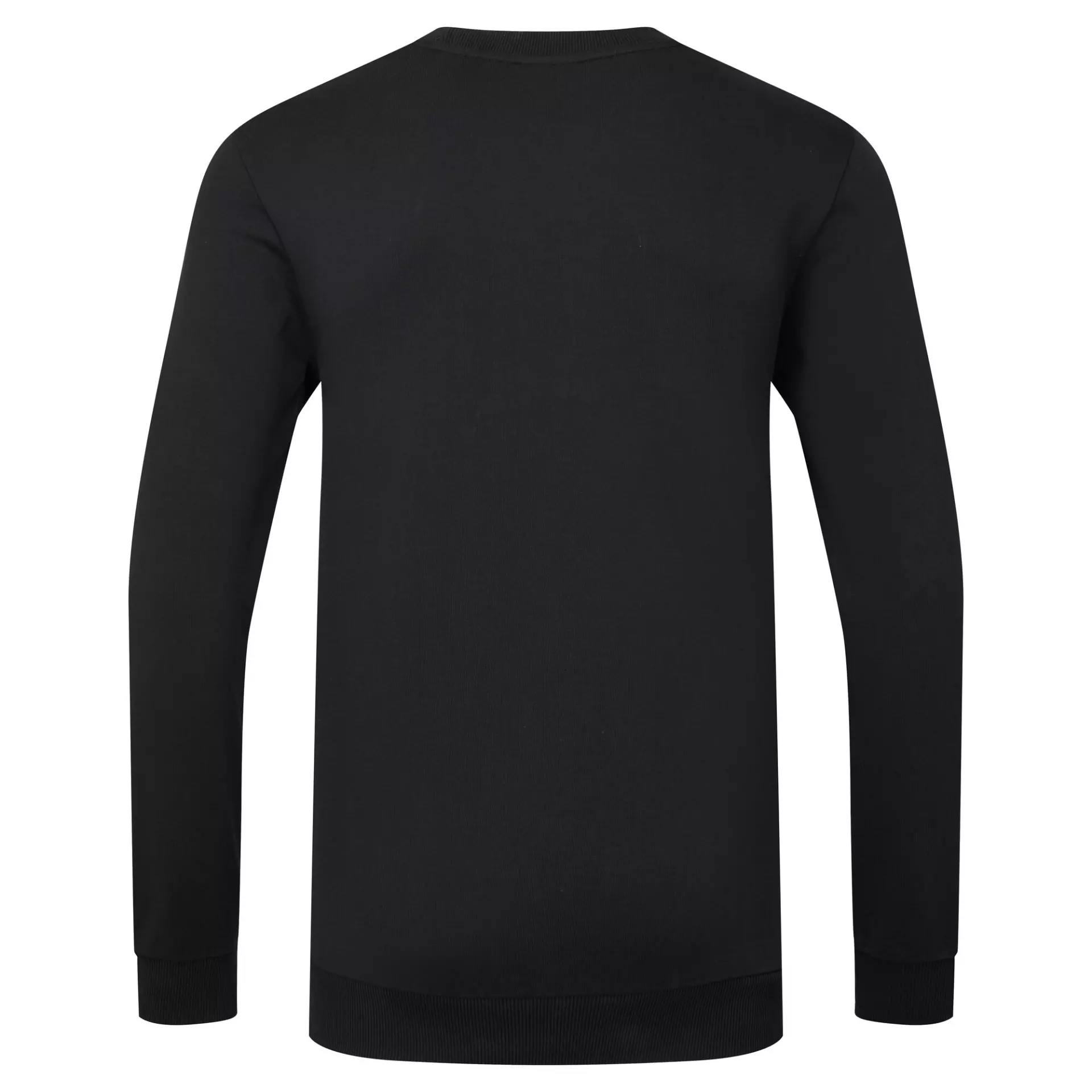 Portwest EC300BKR, Organic Cotton Recyclable Sweatshirt, Black, image 1