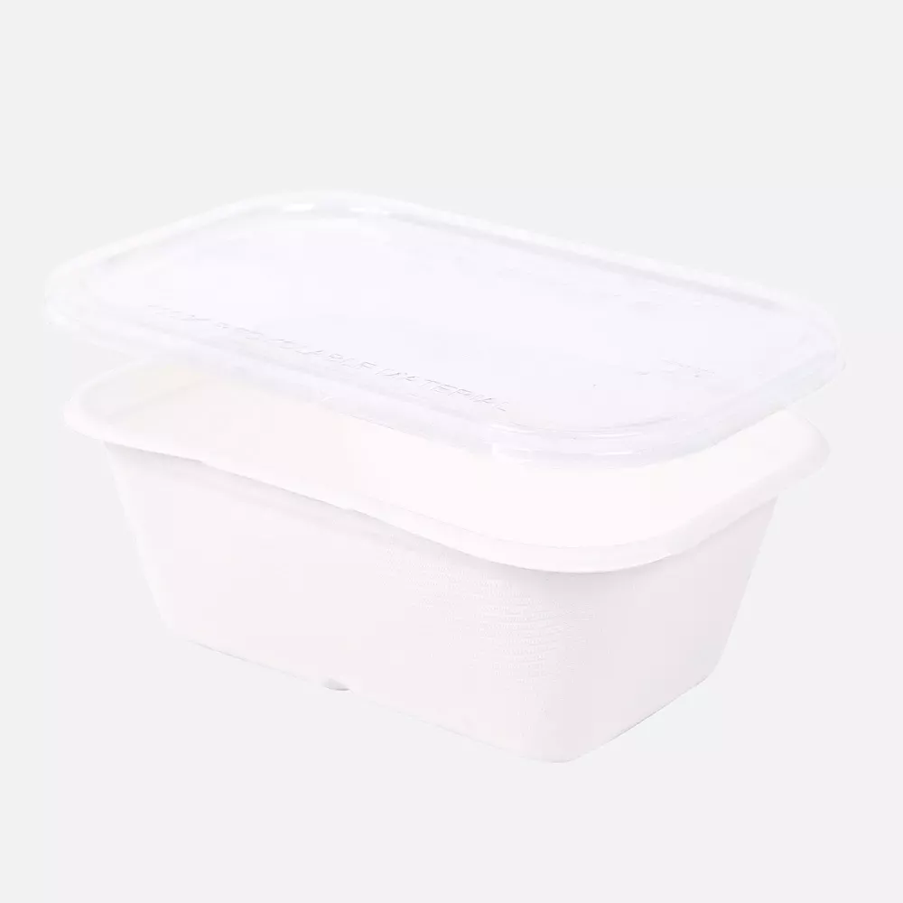NATUREStar 41147, Casa Bagasse Organic Trays, 175 x 120 x 60 mm, 750 ml, image 3