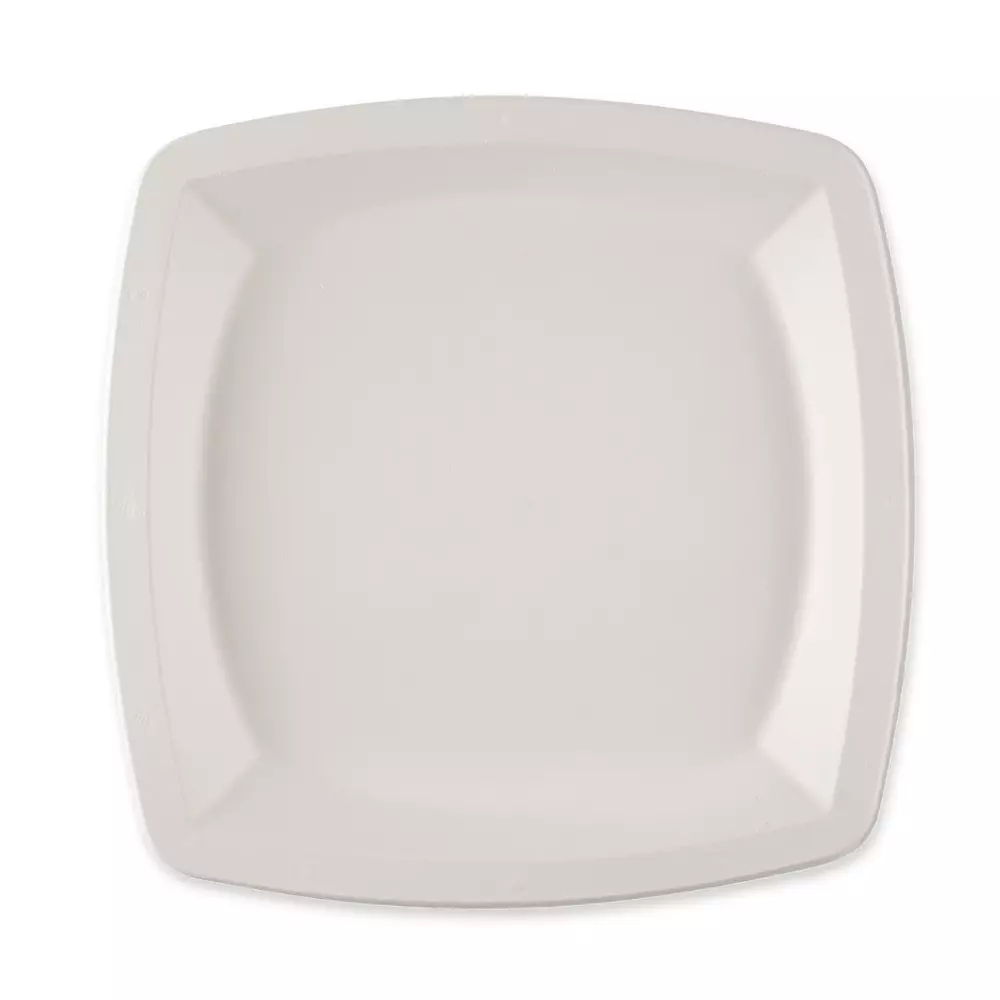 NATUREStar 41024, Square Bagasse Plates, 250 x 250 mm, image 1
