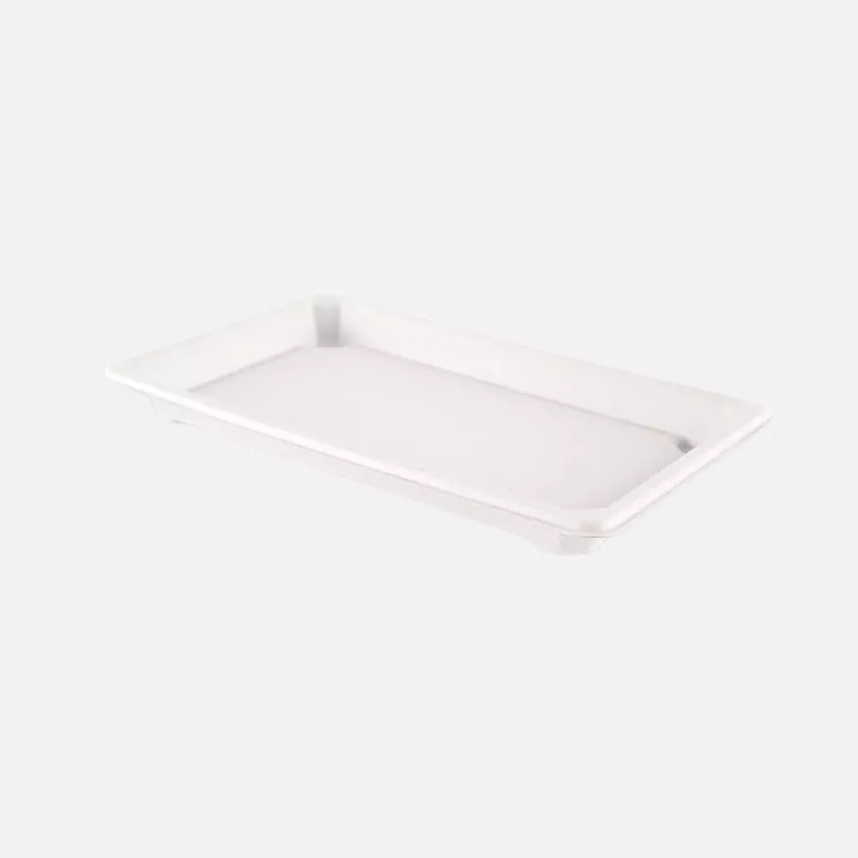 NATUREStar 411204, Bio-Bagasse Sushi-Schalen, XL 216 x 136 x 20 mm, image 1, gallery thumbnail