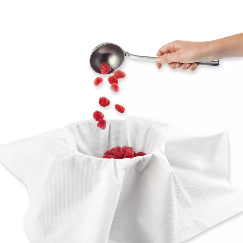 HygoStar 3190, Filterstar Straining Cloths, Special Nonwoven Fabric, Pleated, Box of 25