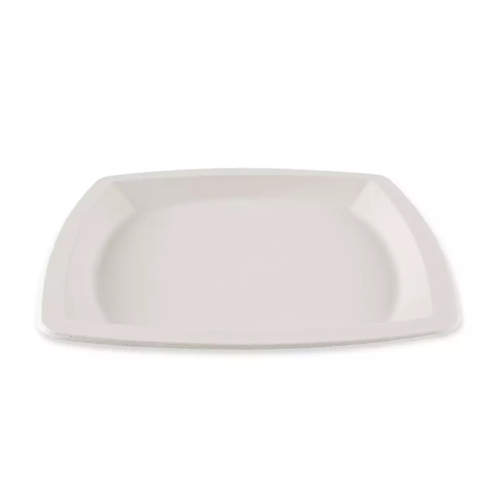 NATUREStar 41024, Square Bagasse Plates, 250 x 250 mm, image 3, gallery thumbnail