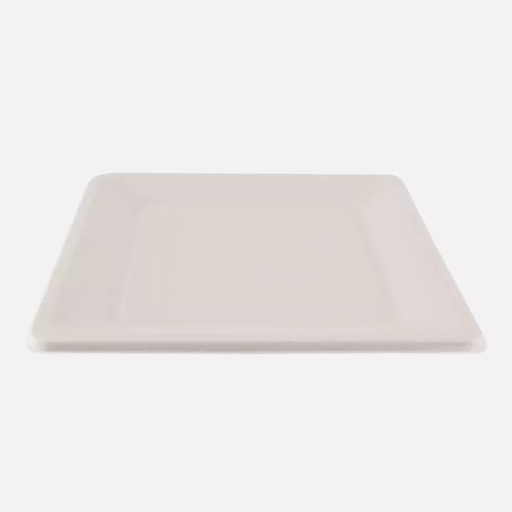 NATUREStar 41028, Bio-Bagasse-Teller, 260 x 260 mm, image 3